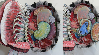 Gorgeous pop-up book lets you dissect a unicorn organ by magical organ